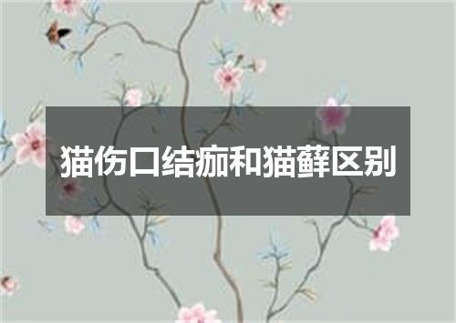 猫伤口结痂和猫藓区别