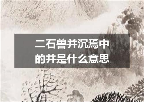 二石兽并沉焉中的并是什么意思