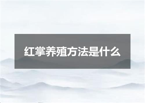 红掌养殖方法是什么