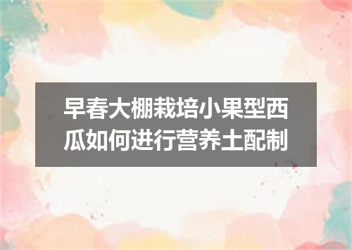 早春大棚栽培小果型西瓜如何进行营养土配制