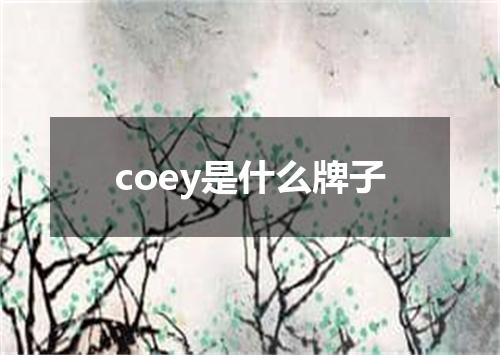 coey是什么牌子