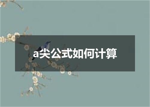 a尖公式如何计算