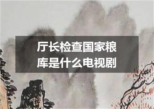 厅长检查国家粮库是什么电视剧