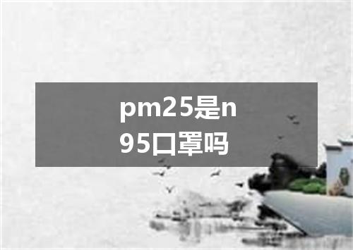 pm25是n95口罩吗
