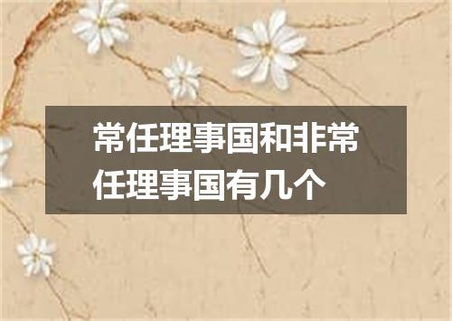 常任理事国和非常任理事国有几个