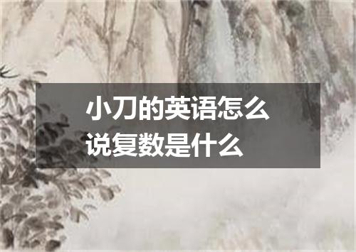 小刀的英语怎么说复数是什么