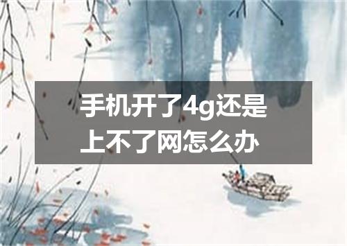 手机开了4g还是上不了网怎么办