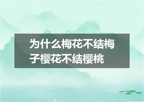 为什么梅花不结梅子樱花不结樱桃