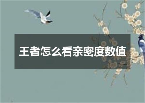 王者怎么看亲密度数值