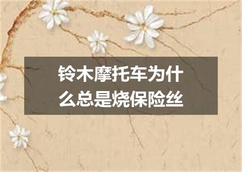 铃木摩托车为什么总是烧保险丝