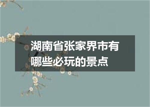 湖南省张家界市有哪些必玩的景点