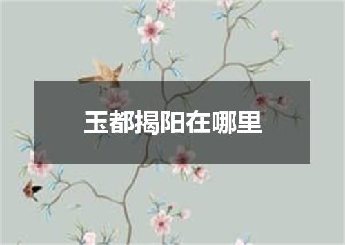 玉都揭阳在哪里