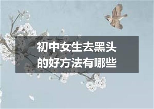 初中女生去黑头的好方法有哪些