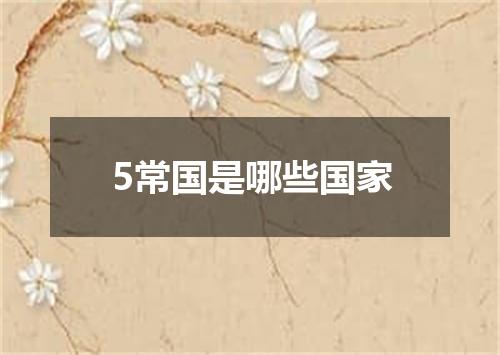 5常国是哪些国家