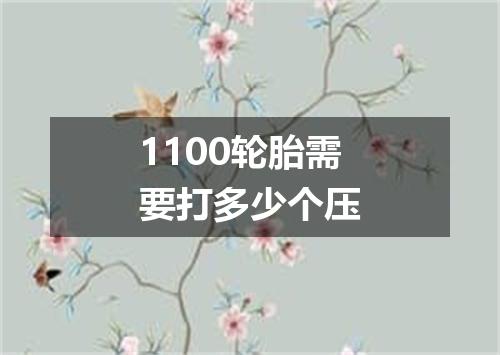 1100轮胎需要打多少个压