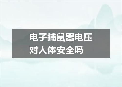 电子捕鼠器电压对人体安全吗