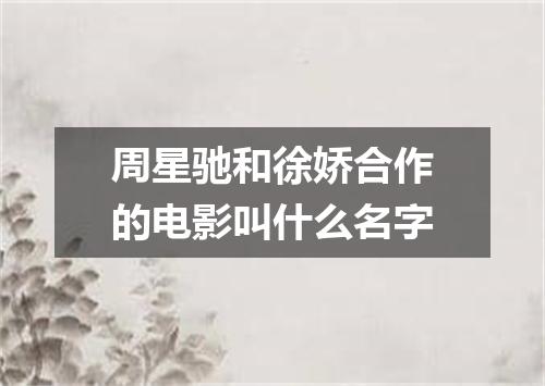 周星驰和徐娇合作的电影叫什么名字