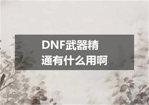 DNF武器精通有什么用啊