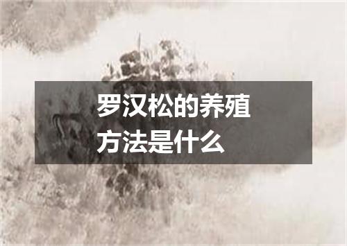 罗汉松的养殖方法是什么