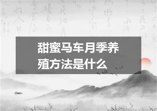甜蜜马车月季养殖方法是什么