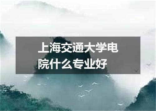 上海交通大学电院什么专业好