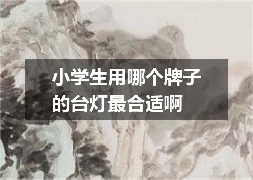小学生用哪个牌子的台灯最合适啊
