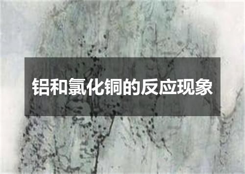 铝和氯化铜的反应现象