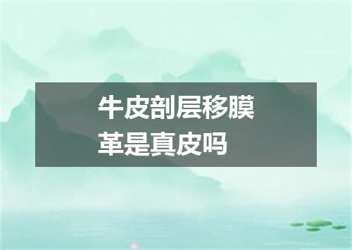 牛皮剖层移膜革是真皮吗