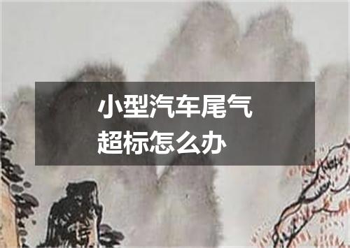 小型汽车尾气超标怎么办