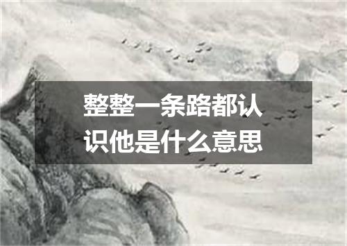 整整一条路都认识他是什么意思