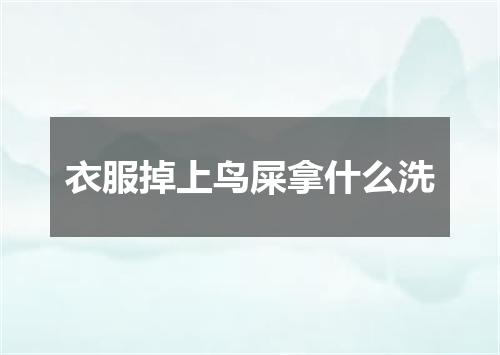 衣服掉上鸟屎拿什么洗