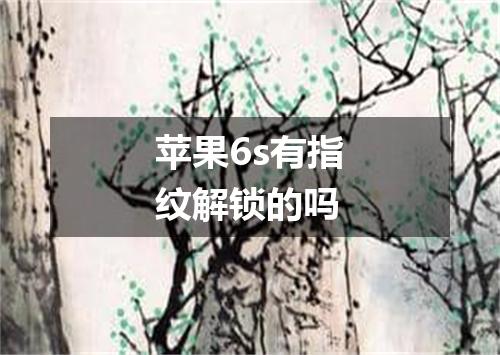 苹果6s有指纹解锁的吗
