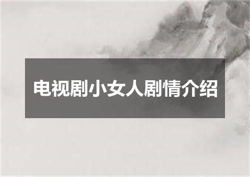 电视剧小女人剧情介绍