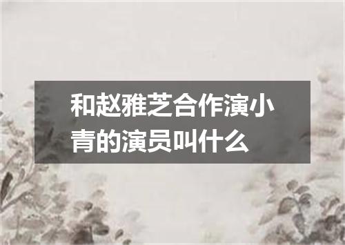 和赵雅芝合作演小青的演员叫什么
