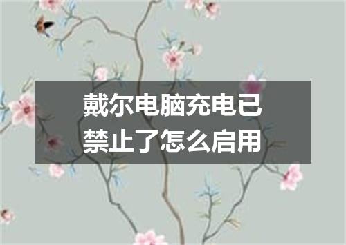 戴尔电脑充电已禁止了怎么启用