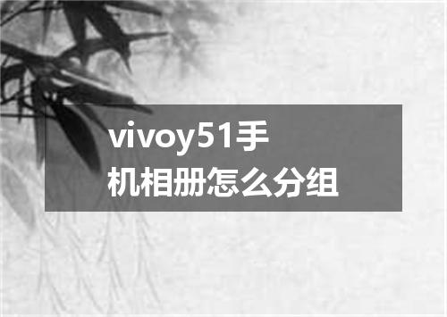 vivoy51手机相册怎么分组