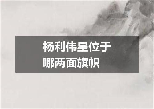 杨利伟星位于哪两面旗帜