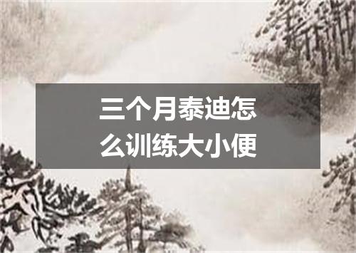 三个月泰迪怎么训练大小便