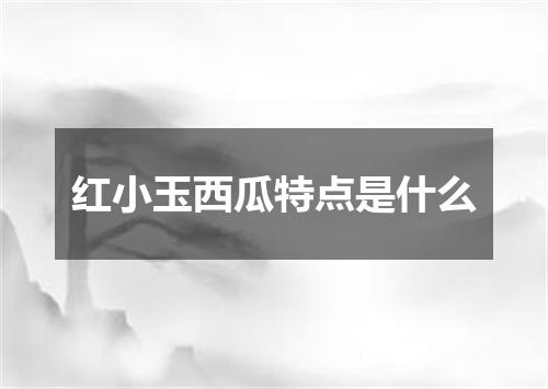 红小玉西瓜特点是什么