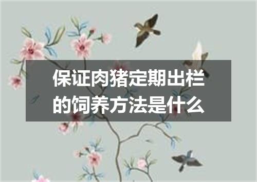 保证肉猪定期出栏的饲养方法是什么