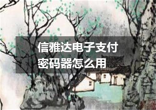 信雅达电子支付密码器怎么用