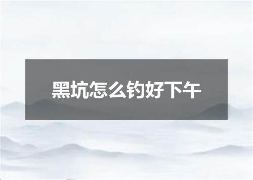 黑坑怎么钓好下午