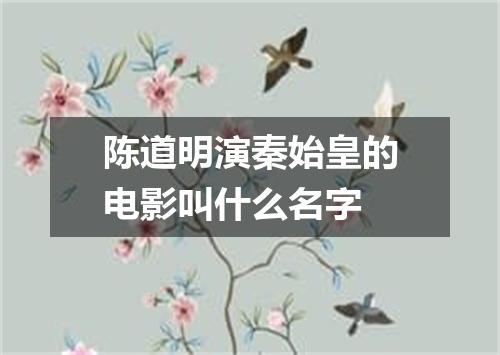 陈道明演秦始皇的电影叫什么名字