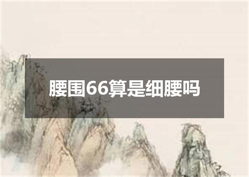 腰围66算是细腰吗
