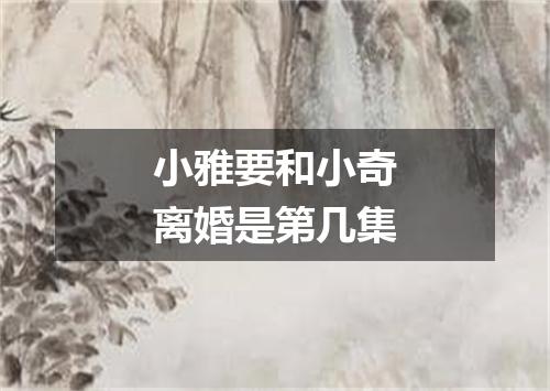 小雅要和小奇离婚是第几集