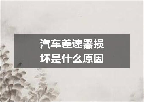 汽车差速器损坏是什么原因