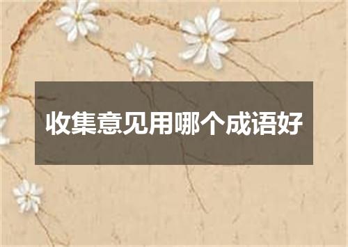 收集意见用哪个成语好