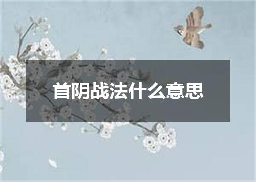 首阴战法什么意思