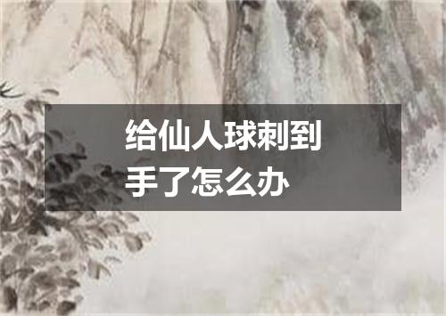 给仙人球刺到手了怎么办