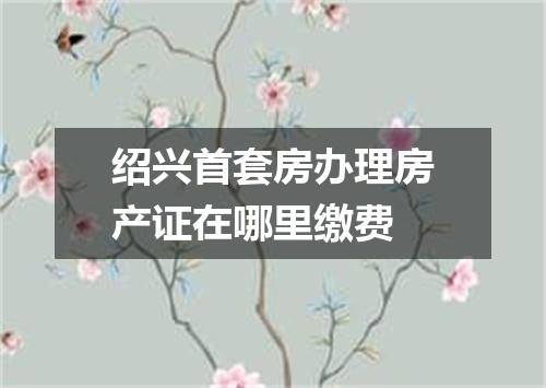 绍兴首套房办理房产证在哪里缴费